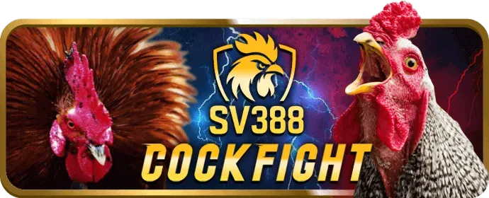 Cá cược Thể Thao tại sam86 bet
